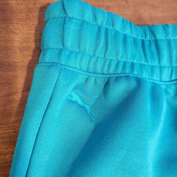 Puma x TMC Men's Small Hustle Way Bermuda Shorts Nipsey Hussle Teal 531215-01 - Picture 4 of 7